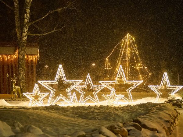 Отель Altay Village Телецкое