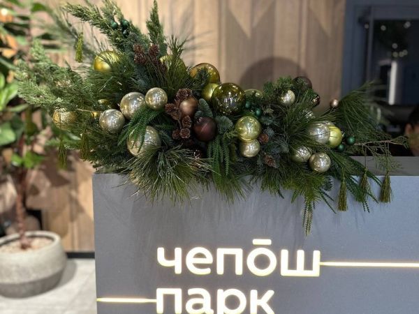 Отель Чепош Парк